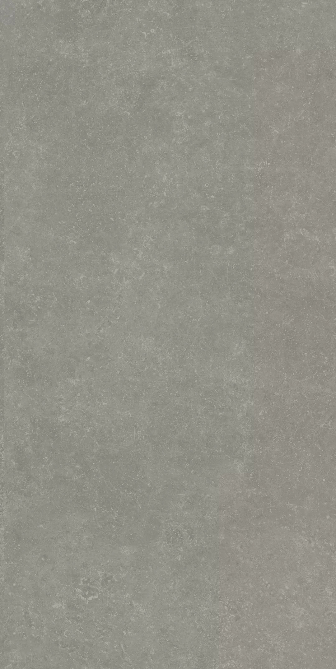Касабланка RP серый матовый обрезной 60x119,5x0,9
