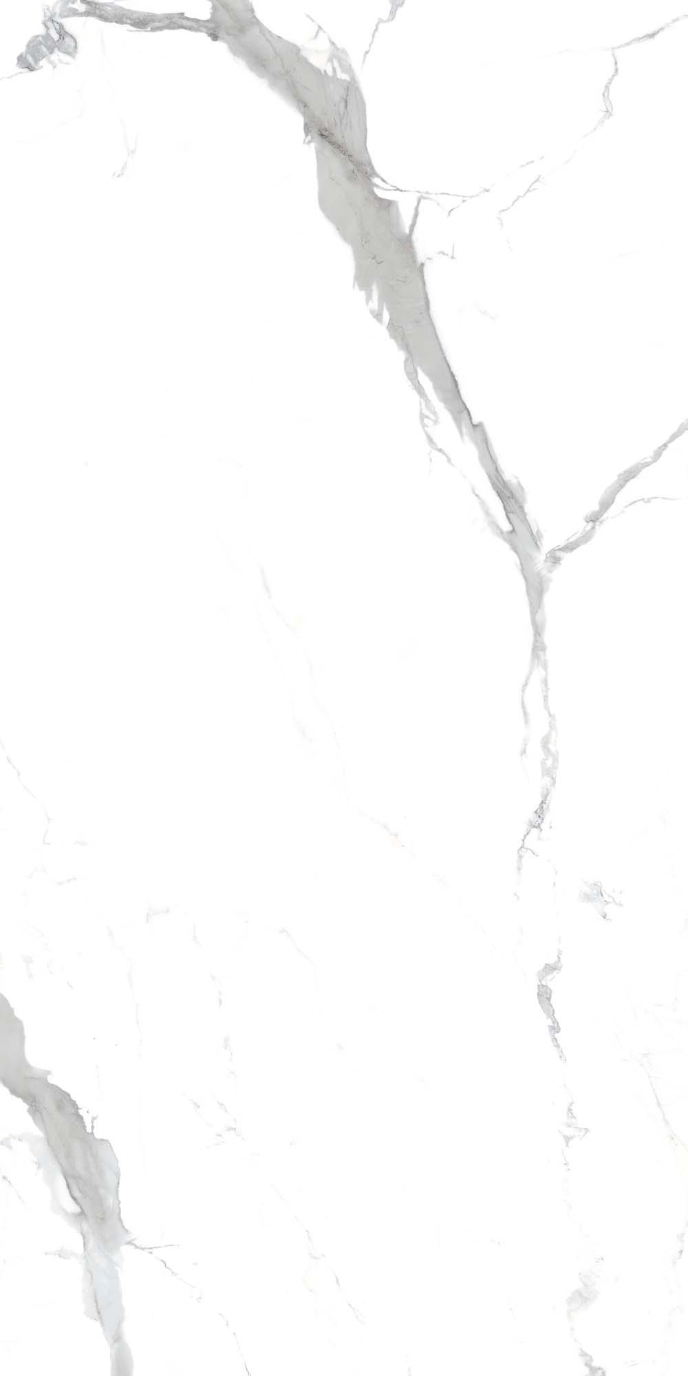 Керамогранит CALACATTA Grey 120x60 (Матовый)