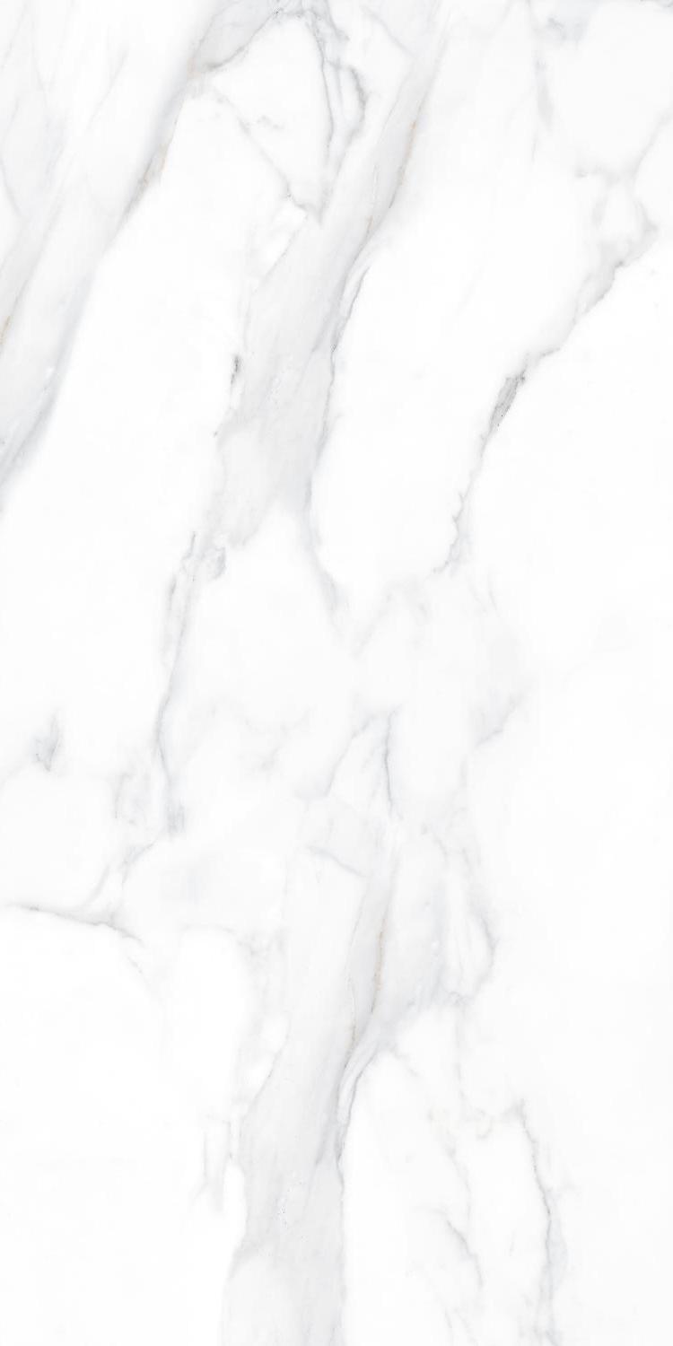 Керамогранит STEFANO White 120x60 (Матовый)
