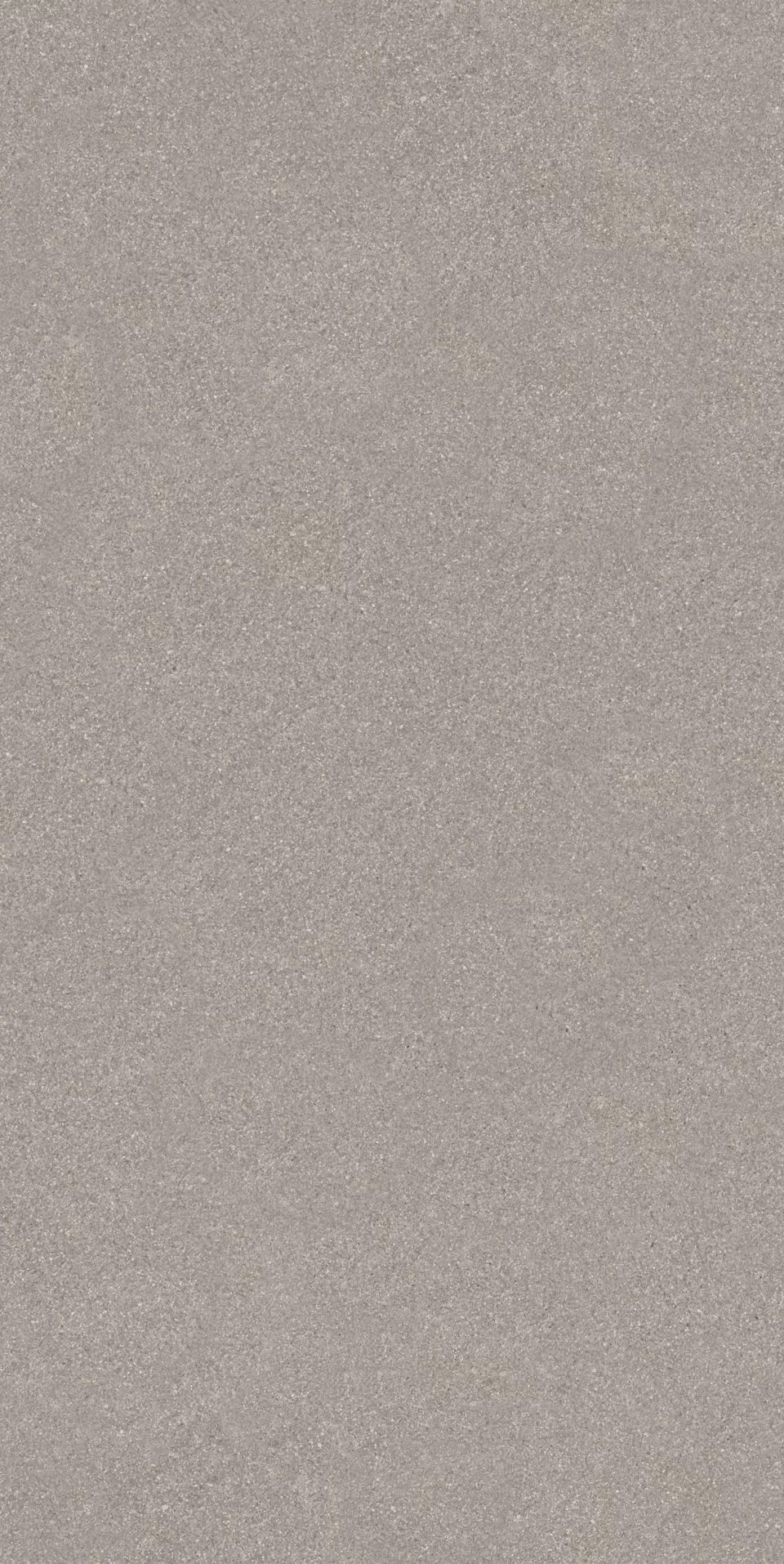 Рабат серый матовый обрезной 30x60x0,9
