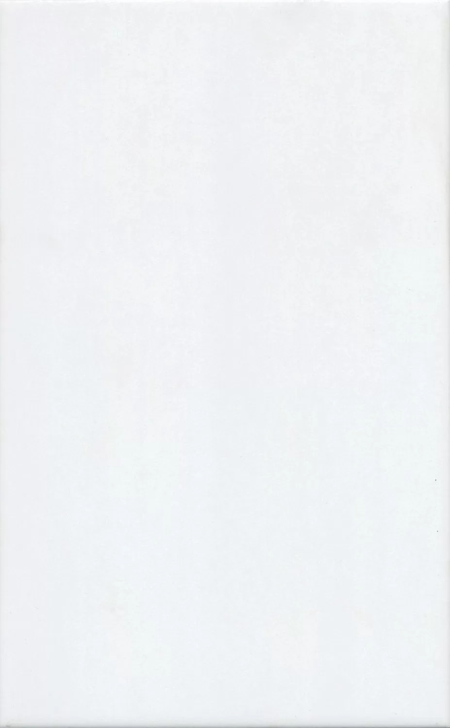 Ломбардиа белый матовый 25x40x0,8