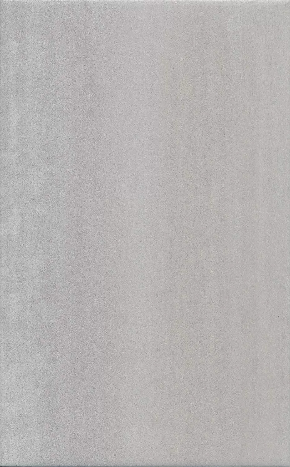 Ломбардиа серый матовый 25x40x0,8