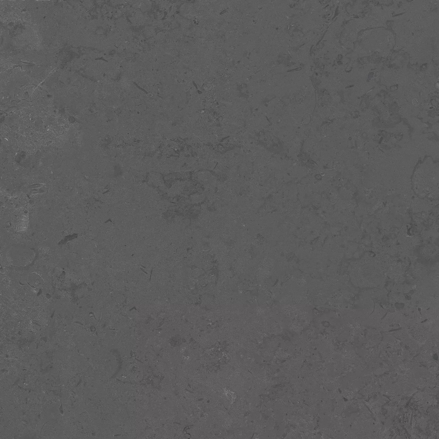 Про Лаймстоун серый темный натуральный обрезной 60x60x0,9
