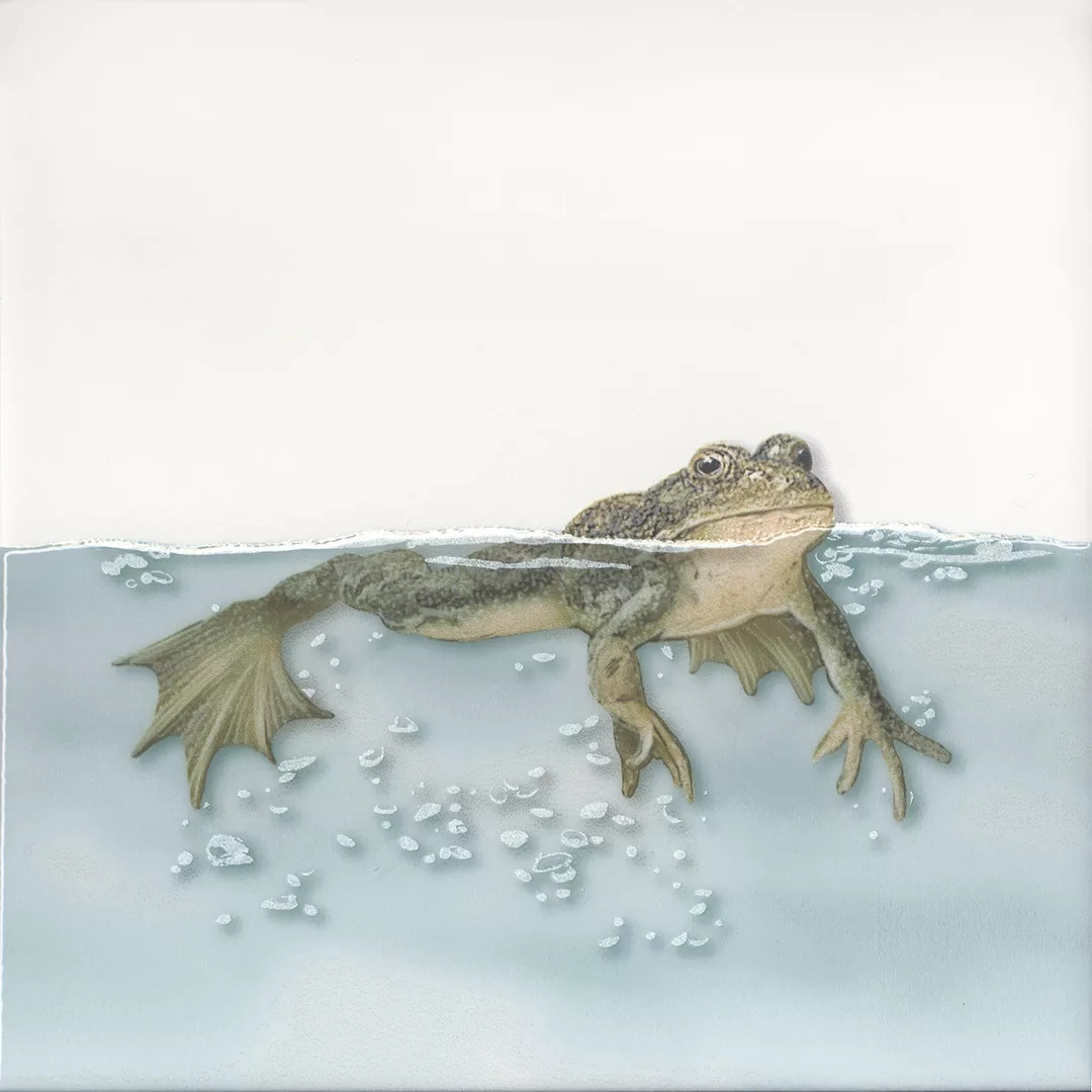 Декор Чудо-озеро 5 20x20x0,69