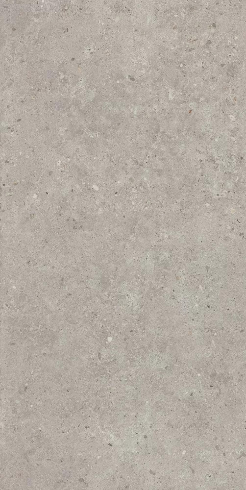 Риккарди серый светлый матовый обрезной 60x119,5x0,9