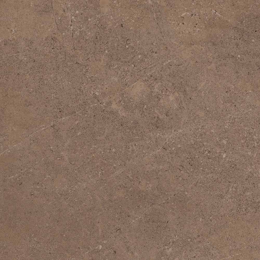 GO02 60x60x9 Непол.Рект. (Керамический гранит)
