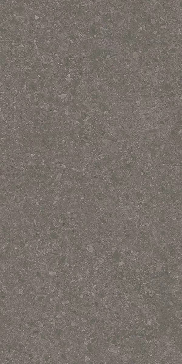 Чеппо ди Гре коричневый матовый обрезной 119,5x238,5x0,9