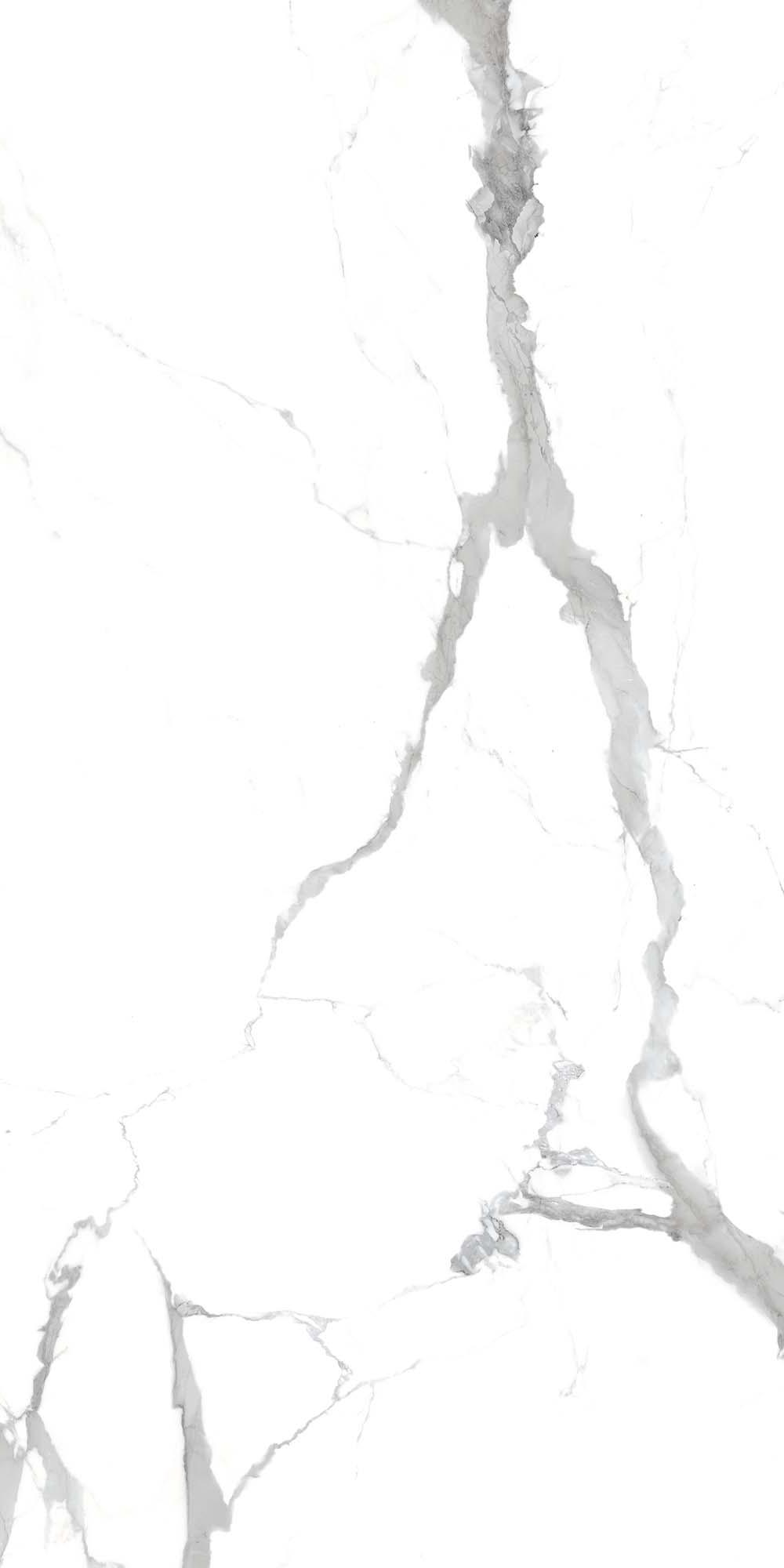 Керамогранит CALACATTA Grey 120x60 (Матовый)