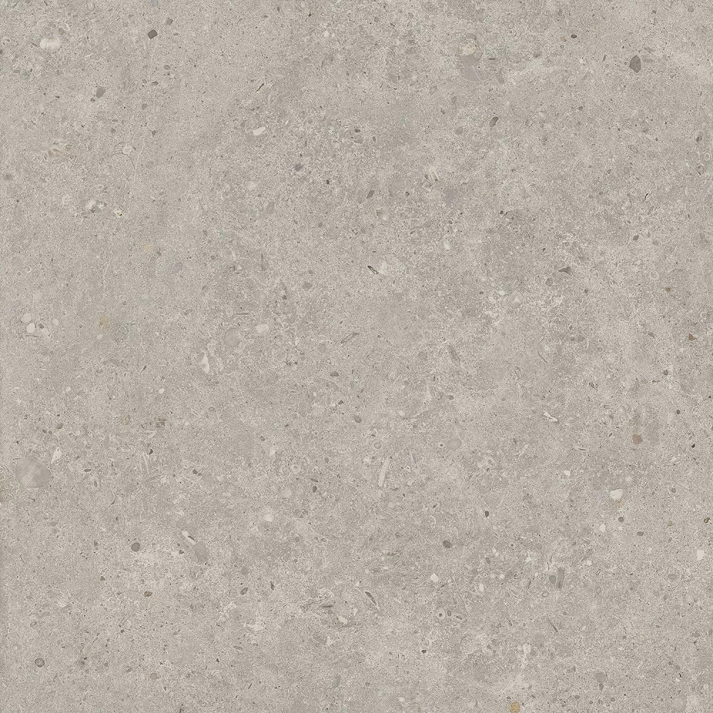 Риккарди серый светлый матовый обрезной 60x60x0,9