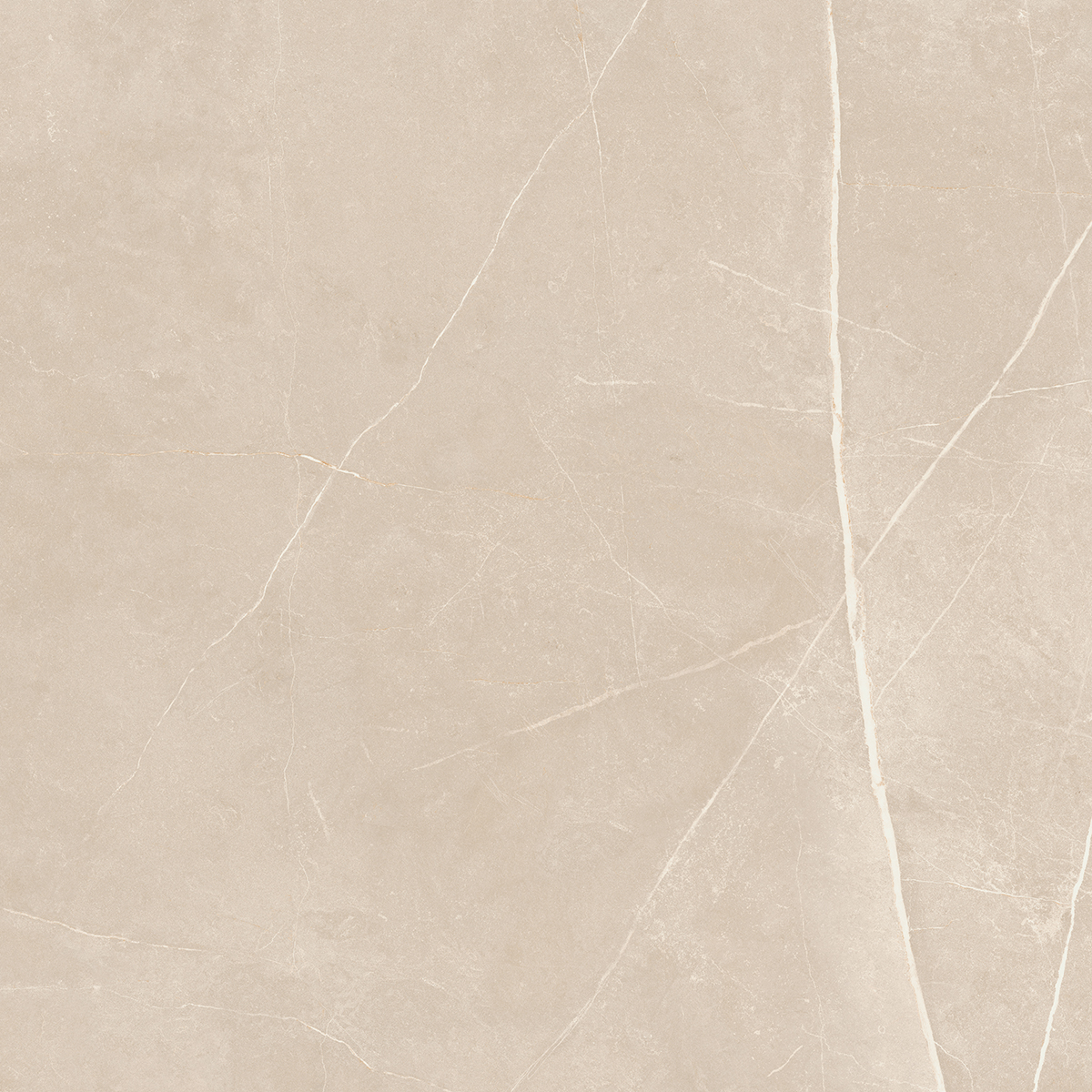 NL01 60x60x9 Полир. (Керамический гранит)